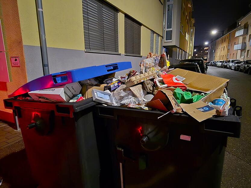 Vor Mehrfamilienh&auml;usern in Heilbronn sammeln sich w&auml;hrend der Umstellung zahlreiche neue sowie nicht geleerte Abfallbeh&auml;lter.