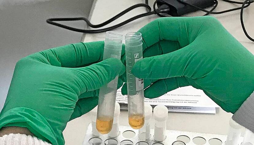 30 Minuten stehen die Blutproben, ehe sie in die Zentrifuge kommen. Dann wird das Serum gleichmäßig auf zwei Röhrchen verteilt und nach Berlin geschickt. 30 Minuten stehen die Blutproben, ehe sie in die Zentrifuge kommen. Dann wird das Serum gleichmäßig auf zwei Röhrchen verteilt und nach Berlin geschickt.