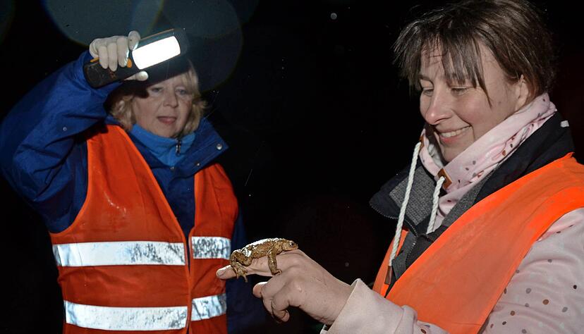 Die Heilbronner Nabu-Vorsitzende Britta Böhringer-Retter (links) und Kreisökologin Stefanie Kielhorn freuen sich über jede Kröte, die sie entdecken. Foto: Stefanie Pfäffle