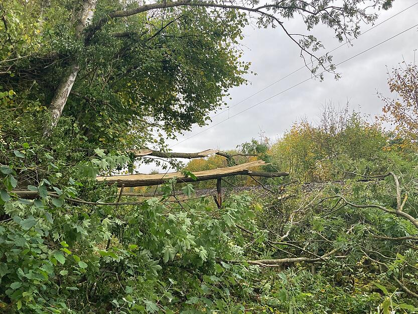 Stadtbahn prallt bei Leingarten gegen Baum