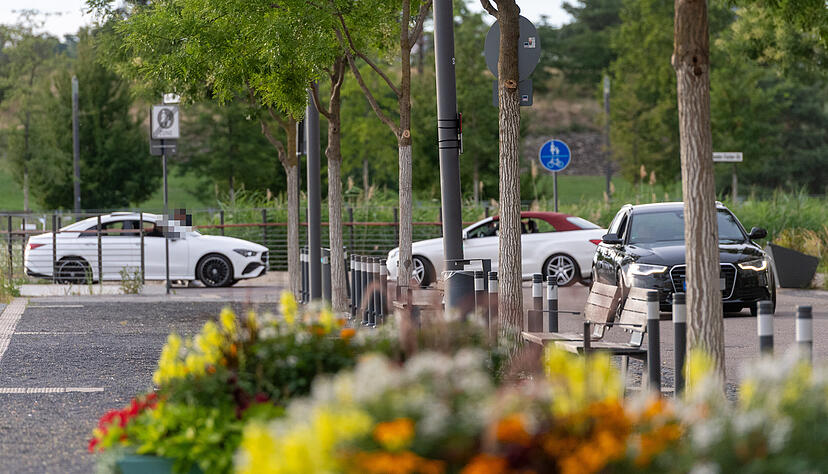 Vor allem die Poser-Szene sorgt im Neckarbogen für Ärger.