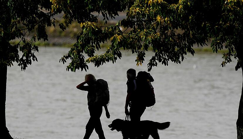 Genug Proviant einpacken und die Distanz langsam steigern:&nbsp;Dann k&ouml;nnen Hunde ohne Probleme eine Wandertour bew&auml;ltigen.