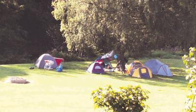 Eine Wiese wie in einem gut gepflegten Garten l&auml;dt auf dem Campingplatz in Neudenau zum Zelten ein.Foto: Zoe Frey