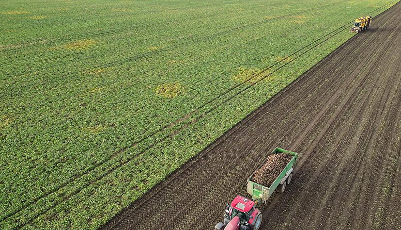 Reiche Ernte: Doch &uuml;berladen auf der Stra&szlig;e fahren ist auch solchen Gef&auml;hrten nicht erlaubt.