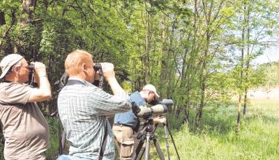 Das Haberschlachter Tal ist Refugium für viele Vogelarten. Frank Laier, Ralf Gramlich und Jochen Fischer (von links) sind ihnen auf der Spur.Foto: Claudia Kostner Das Haberschlachter Tal ist Refugium für viele Vogelarten. Frank Laier, Ralf Gramlich und Jochen Fischer (von links) sind ihnen auf der Spur.Foto: Claudia Kostner