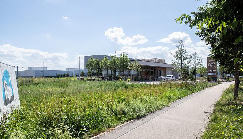 Auf diesem Grundstück an der Pfaffenstraße in den Böllinger Höfen wird der neue Aldi-Markt entstehen. Im Hintergrund der neue Backshop.
Foto: Andreas Veigel Auf diesem Grundstück an der Pfaffenstraße in den Böllinger Höfen wird der neue Aldi-Markt entstehen. Im Hintergrund der neue Backshop.
Foto: Andreas Veigel