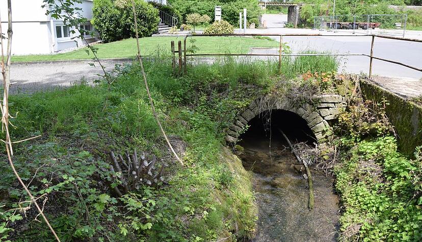 Trotz Katastrophe gaukelt der Krebsbach Romantik vor. Trotz Katastrophe gaukelt der Krebsbach Romantik vor.