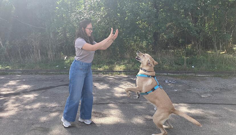 Rettungshund Ivan kann Frauchen Viktoria Pfeil auch ein High Five geben.