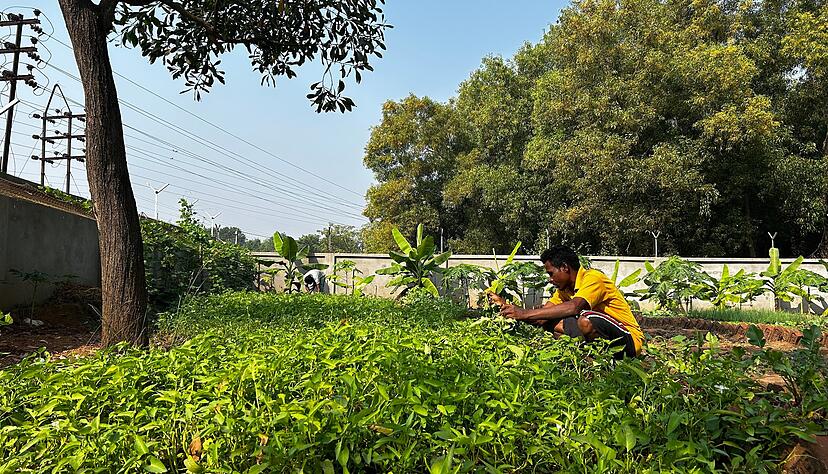 Nun hat auch das Kinderkrankenhaus St. Mary einen eigenen Gem&uuml;se- und Obstgarten. Was hier w&auml;chst, wird f&uuml;r die Mahlzeiten der kleinen Patienten verwendet.