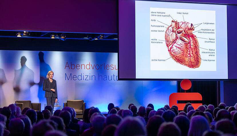Christiane Tiefenbacher erklärt schematisch den Aufbau des Herzens.