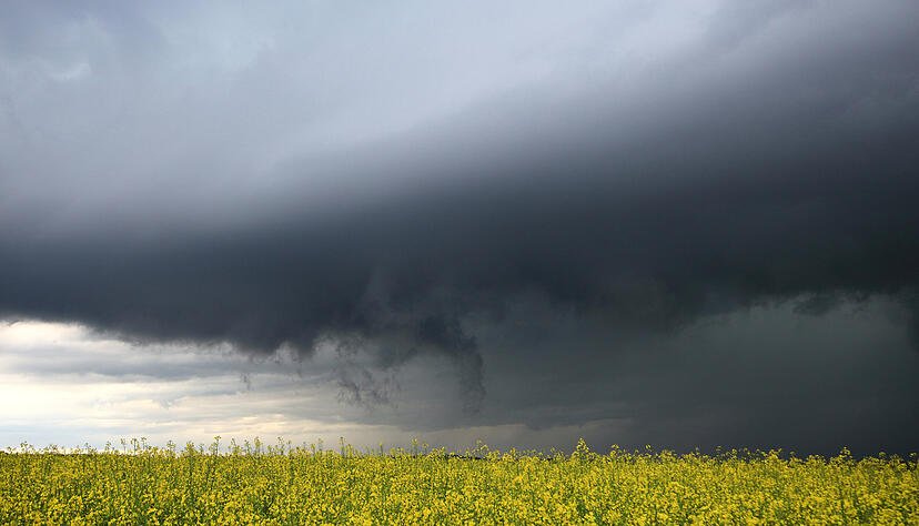 Dunkle Gewitterwolken: Der Deutsche Wetterdienst hat eine Warnung für Baden-Württemberg ausgesprochen.