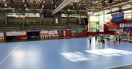 Im April 2021 testeten die Neckarsulmer Handballerinnen einen blauen Spezial-Boden, der in der Ballei extra für eine TV-Liveübertragung von Eurosport verlegt worden war. Im Herbst soll ein vergleichbarer Boden dauerhaft verlegt werden.
