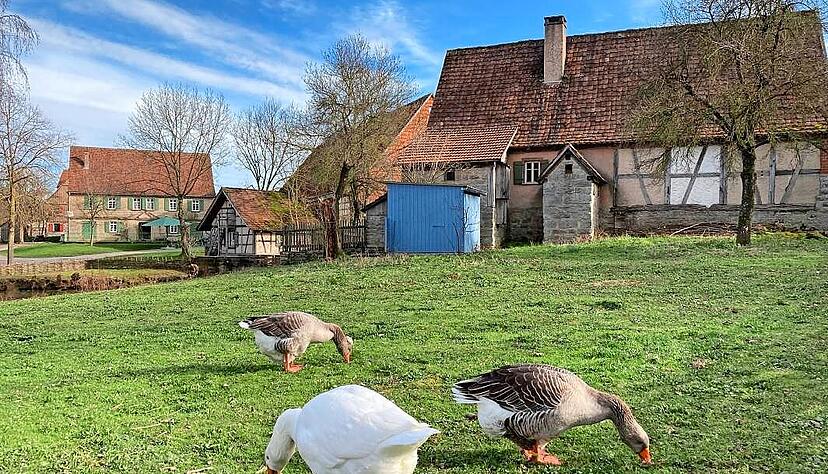 Das Freilandmuseum Wackershofen startet am Wochenende in die Saison 2026.