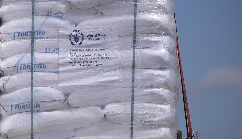 Israel l&auml;sst auch weiterhin nur wenige Hilfslieferungen in den Gazastreifen zu - und sieht sich deswegen mit immer lauterer Kritik konfrontiert.