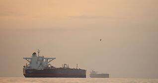 Die Lage in der Stra&szlig;e von Hormus ist nach Trumps Verl&auml;ngerung der Waffenruhe unver&auml;ndert. (Archivbild)