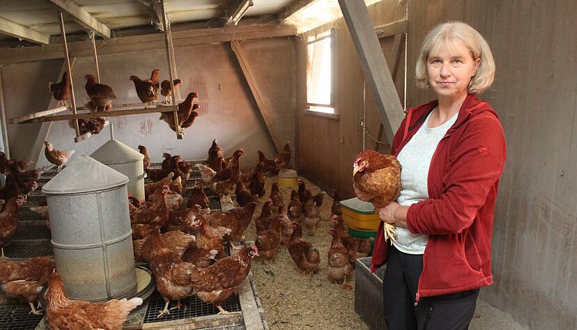 Kontakt mit Nutztieren: Gerlinde Wagner vom Kraichgauhof Wagner in Eppingen gew&auml;hrt jungen und erwachsenen G&auml;sten gerne einen Blick in den H&uuml;hnerstall.