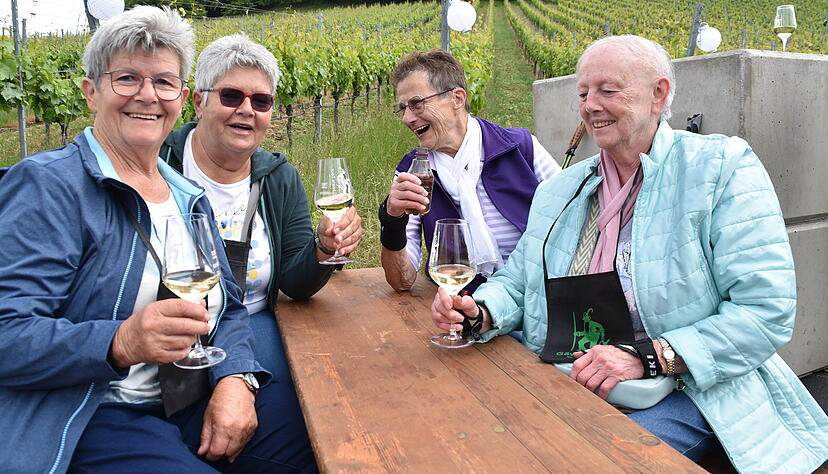 Die vier fr&ouml;hlichen Witwen Waltraud, Irene, Margarete und Gerda machen am Vatertag ihr eigenes Ding. Sie k&ouml;nnen nicht mehr so wandern wie fr&uuml;her, genie&szlig;en aber trotzdem gerne Bewegung, Geselligkeit und Wein.
