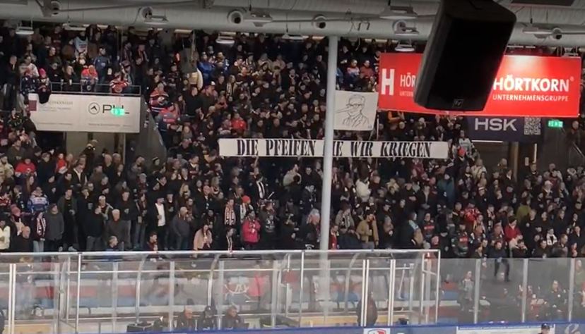 Die Falken-Fans zeigen ihren Unmut über die Gesellschafter. Die Falken-Fans zeigen ihren Unmut über die Gesellschafter.