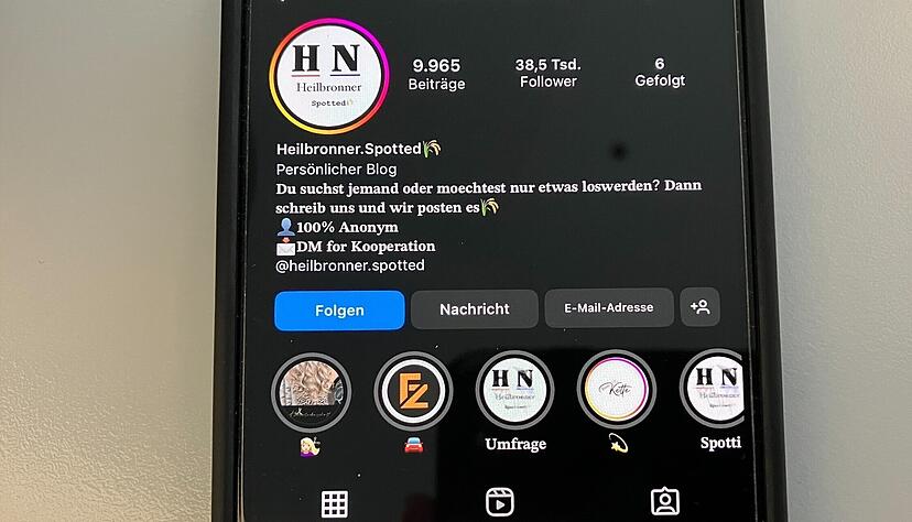 Auf der öffentlich einsehbaren Instagram-Seite "Heilbronner.Spotted" werden täglich unzählige Gesuche geteilt. Das Bild ist am Sonntag, 3. November, um 11:45 Uhr entstanden. Auf der öffentlich einsehbaren Instagram-Seite "Heilbronner.Spotted" werden täglich unzählige Gesuche geteilt. Das Bild ist am Sonntag, 3. November, um 11:45 Uhr entstanden.