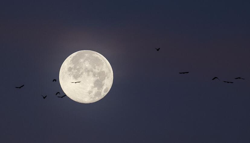 Der letzte Vollmond des Jahres wird auch &laquo;Cold Moon&raquo; oder &laquo;Julmond&raquo; genannt. (Archivbild)