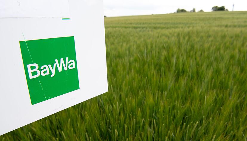 Die Baywa ist der größte deutsche Agrarhändler. Wegen Schulden in Milliardenhöhe steht dem Konzern eine jahrelange schmerzliche Sanierung bevor.