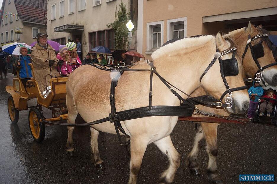 Herbstpferdemarkt Dörzbach | 02.11.