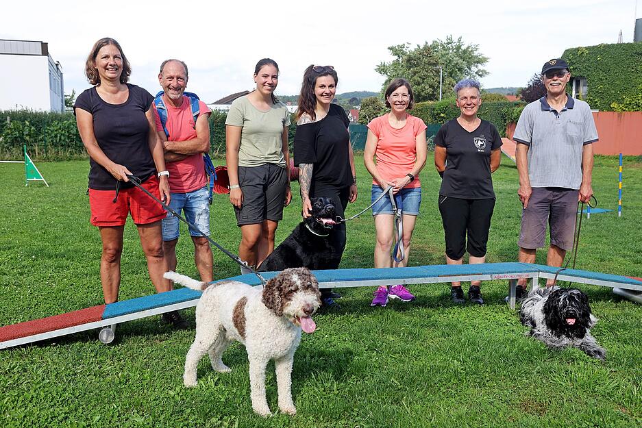 Agility Hunde-Training Lesersommer Agility Hunde-Training Lesersommer