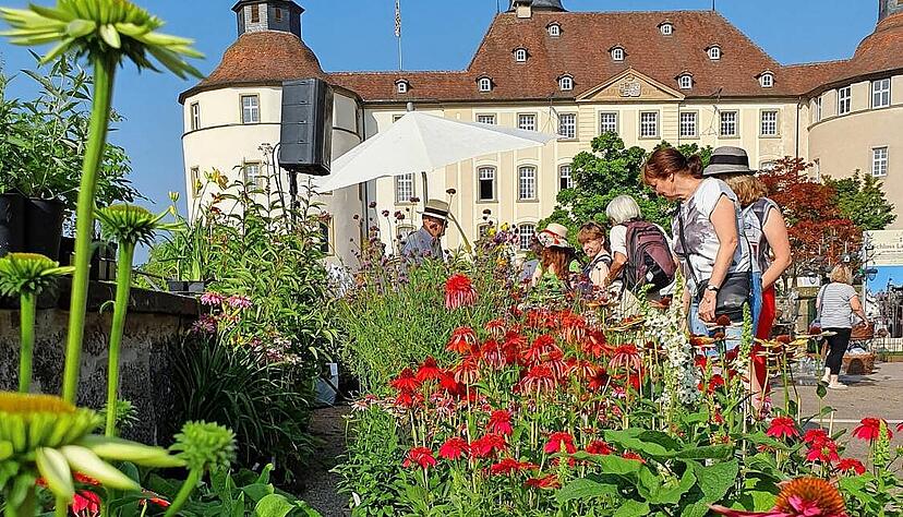 Blumen und Pflanzen für alle Jahreszeiten gibt"s bei den Langenburger Gartentagen in Hülle und Fülle.
Foto: Archiv/privat Blumen und Pflanzen für alle Jahreszeiten gibt"s bei den Langenburger Gartentagen in Hülle und Fülle.
Foto: Archiv/privat