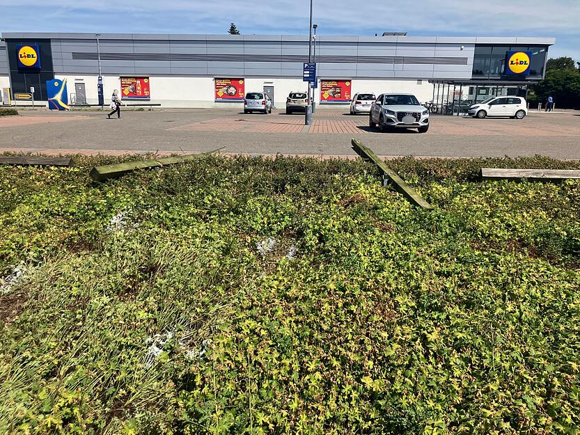 Die B27 in Offenau ist nach dem Unfall für einige Zeit gesperrt worden. Im Kreisverkehr nahe Lidl und Bäckerei Härdtner befinden sich in der Nähe der Unfallstelle. Die B27 in Offenau ist nach dem Unfall für einige Zeit gesperrt worden. Im Kreisverkehr nahe Lidl und Bäckerei Härdtner befinden sich in der Nähe der Unfallstelle.