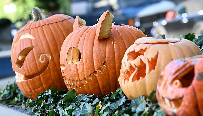 Ausgehöhlte Kürbisse mit gruseligen Fratzen in einem Vorgarten in Frankfurt am Main. (Archivbild) Ausgehöhlte Kürbisse mit gruseligen Fratzen in einem Vorgarten in Frankfurt am Main. (Archivbild)