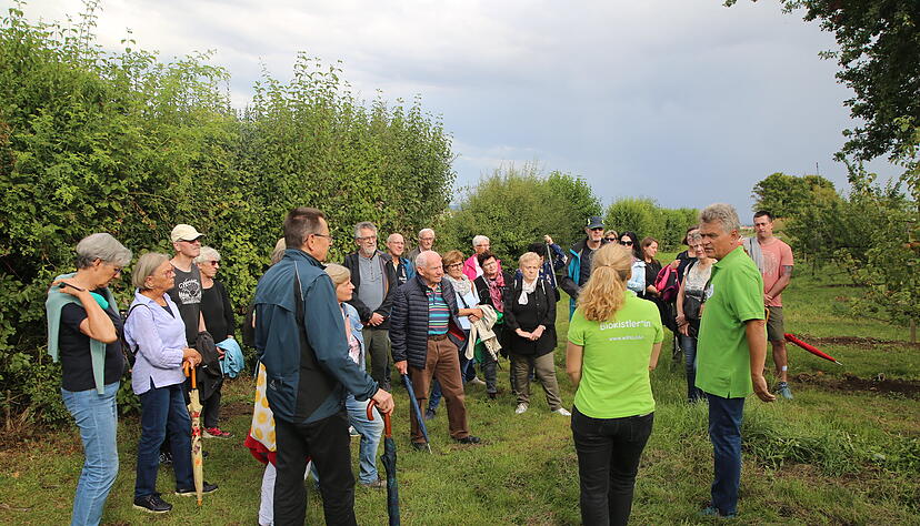 Besucher der Heilbronner Stimme entdecken die Obstplantagen.