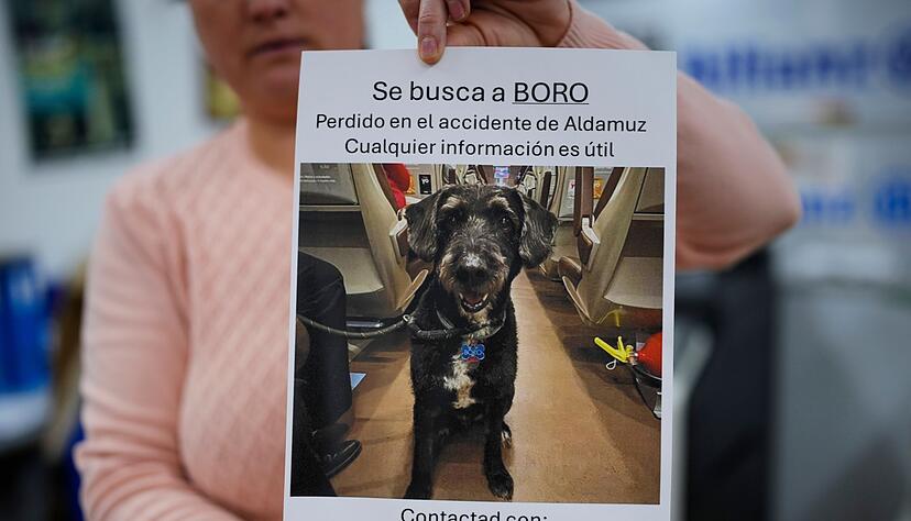 &Uuml;ber diese Familienzusammenf&uuml;hrung freut sich ganz Spanien.