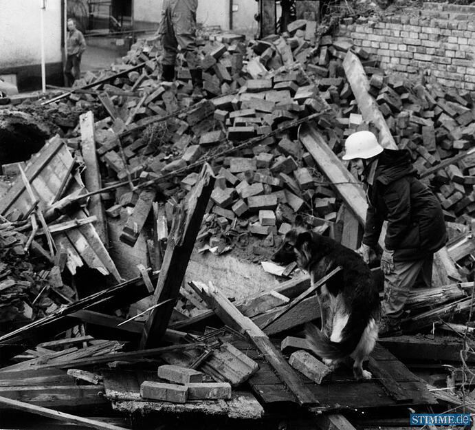 März 1987: Eindrucksvolle Demonstration der Einsatzübung der Rettungsstaffel Unterland. Die ausgebildeten Hunde spüren Verschüttete bei der Trümmersuche schnell auf.