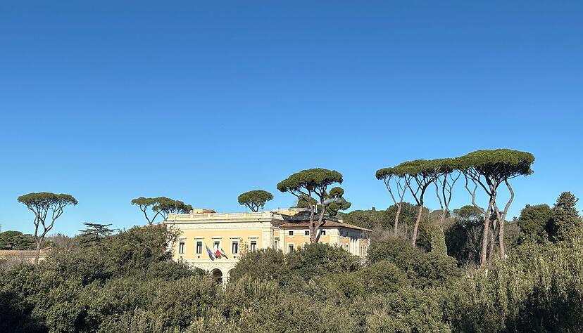 Wie Riesen ragen die Prachtpinien aus Roms Stadtbild heraus.