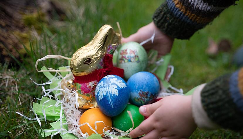 Schoko-Osterhasen sind ein beliebtes Geschenk zum Osterfest. (Archivbild) Schoko-Osterhasen sind ein beliebtes Geschenk zum Osterfest. (Archivbild)