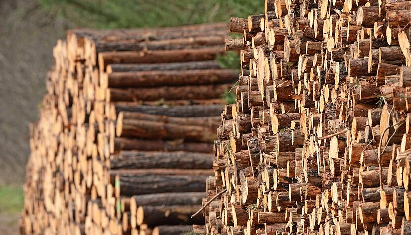 Immer mehr Haushalte heizen wegen der hohen Energiepreise im Winter mit Holz. In der Region kam es bislang zu wenig Diebstählen.
