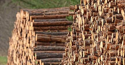 Immer mehr Haushalte heizen wegen der hohen Energiepreise im Winter mit Holz. In der Region kam es bislang zu wenig Diebstählen.
Foto: dpa