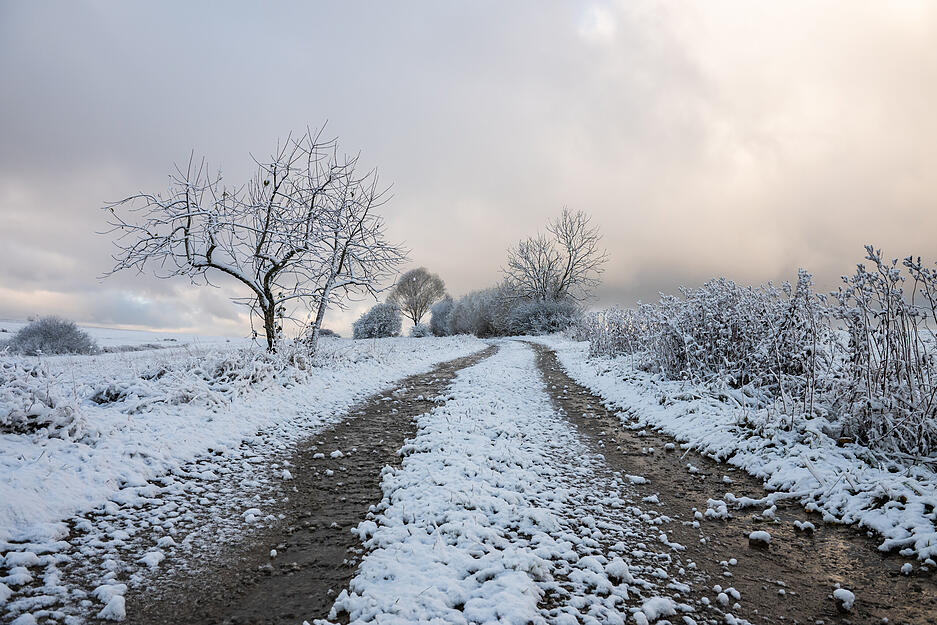 In der Nacht auf Freitag hat es in Baden-Württemberg vielerorts geschneit.