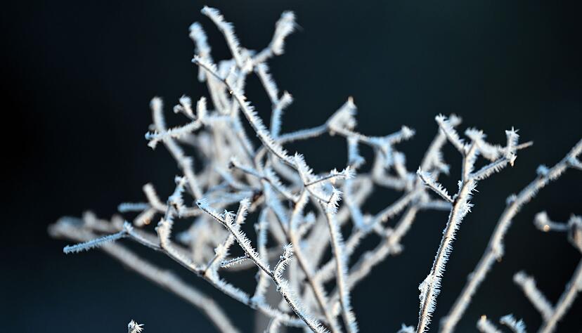 Minusgrade sind auch in der kommenden Nacht vielerorts zu erwarten.