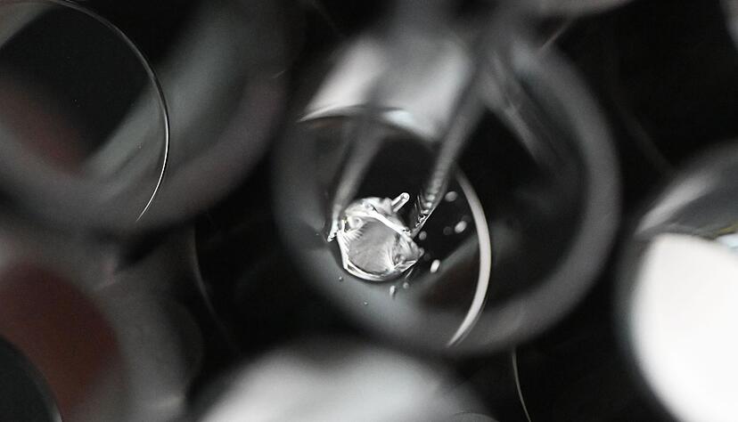 Ein 3D-Drucker hat die k&uuml;nstliche Baby-Herzklappe in einer Form gedruckt.