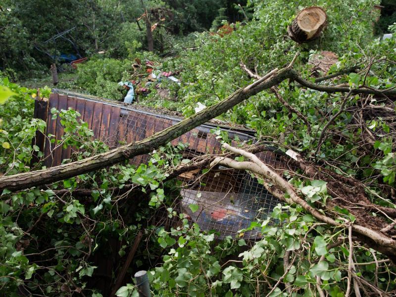 Unter umgeknickten B&auml;umen sind die &Uuml;berreste eines Gartenhauses in D&uuml;sseldorf zu sehen. Foto: Rolf Vennenbernd