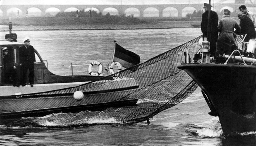 Mit Netzen und Stangen versuchten Helfer, den Wal in die richtige Richtung zu lenken - vergebens. (Archivbild)