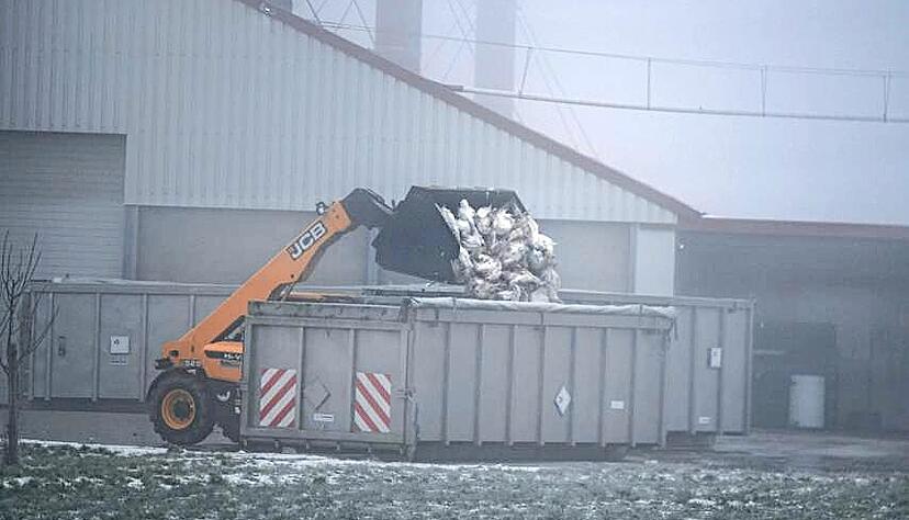 Nachdem einige Puten in dem Stall verendet waren, hat ein Tierarzt Schnelltests auf die Vogelgrippe durchgeführt.