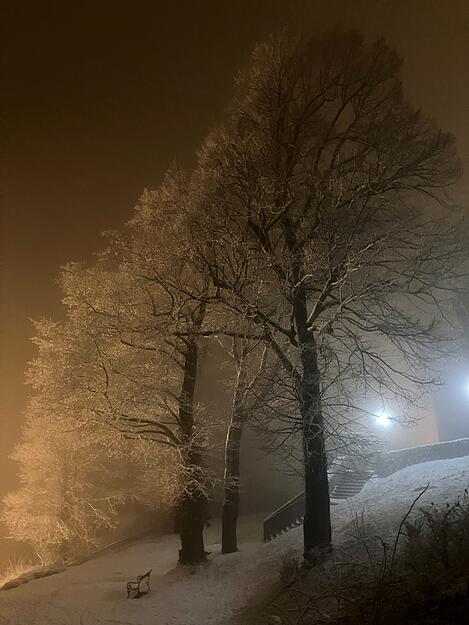 In den frühen Abendstunden wurde es auch im Hohenlohekreis winterlich. In Waldenburg liegt der erste Schnee des Jahres.