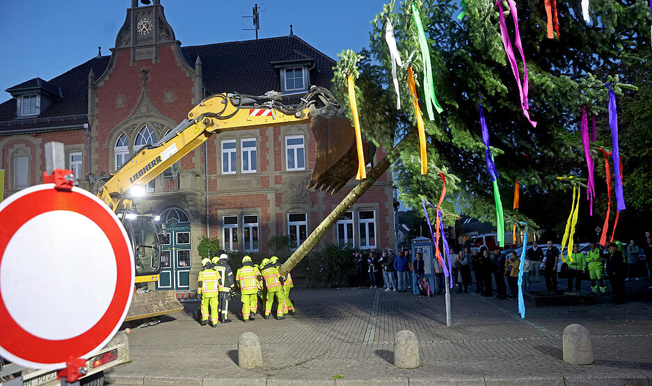 In Gemmingen ist es Brauch, einen Bürgermeisterbaum zu stellen. Schätzungsweise 300 Bürgerinnen und Bürger waren mit dabei, als ihn die Feuerwehr brachte.