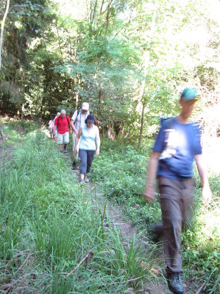 Lesersommer Wanderung