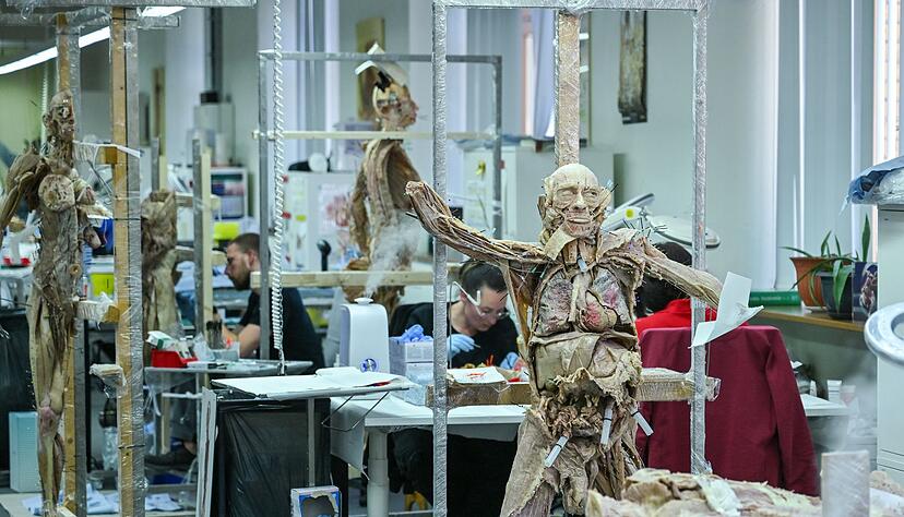 Die Ausstellung feiert im Jahr 1995 ihr Deb&uuml;t und wurde seitdem in 42 L&auml;ndern gezeigt (Archivbild).