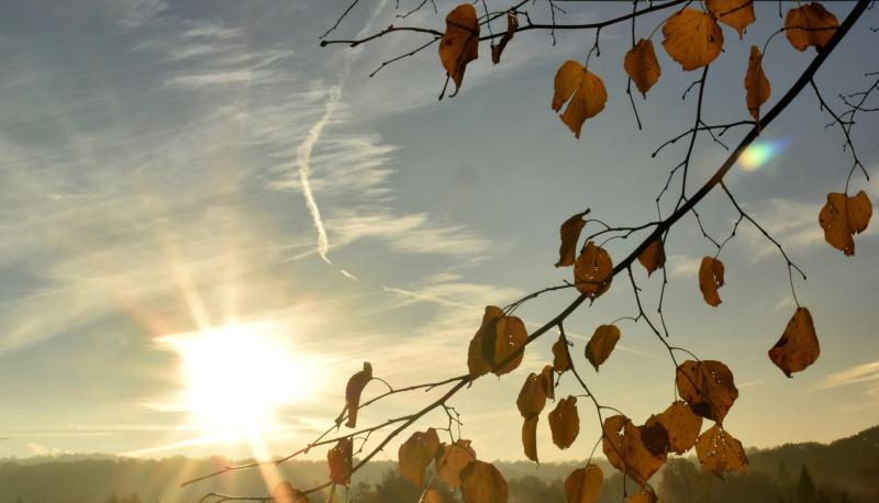 «Wir wissen ja spätestens seit den Sommerferien, dass Reisen insbesondere dazu führen, dass Infektionsketten nicht mehr beherrschbar sein könnten», sagt Schleswig-Holsteins Ministerpräsident Daniel Günther. «Wir wissen ja spätestens seit den Sommerferien, dass Reisen insbesondere dazu führen, dass Infektionsketten nicht mehr beherrschbar sein könnten», sagt Schleswig-Holsteins Ministerpräsident Daniel Günther.