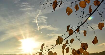 «Wir wissen ja spätestens seit den Sommerferien, dass Reisen insbesondere dazu führen, dass Infektionsketten nicht mehr beherrschbar sein könnten», sagt Schleswig-Holsteins Ministerpräsident Daniel Günther. «Wir wissen ja spätestens seit den Sommerferien, dass Reisen insbesondere dazu führen, dass Infektionsketten nicht mehr beherrschbar sein könnten», sagt Schleswig-Holsteins Ministerpräsident Daniel Günther.