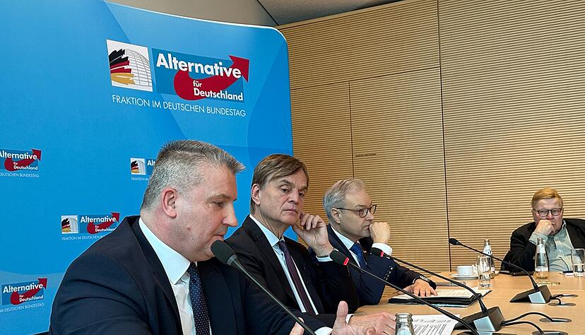 Die AfD-Fraktion kann der aktuellen Debatte viel Positives abgewinnen.